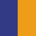 Purple / Gold